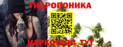 гидра Краснодар