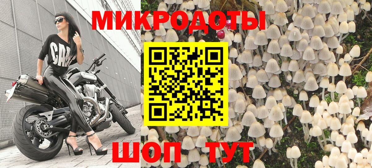 Псилоцибиновые грибы Cubensis Кимовск