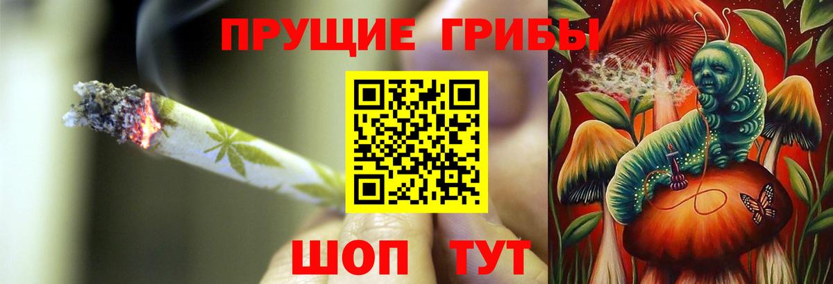 Кимовск  купить наркоту  Вход с VPN  Галлюциногенные грибы мухоморы 