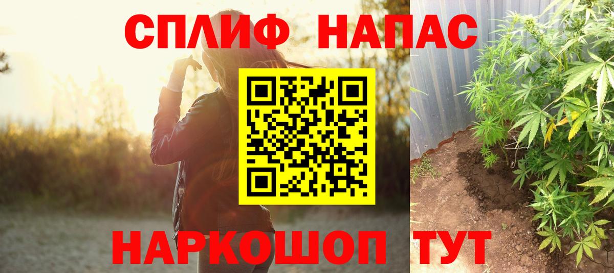 Конопля сатива Кимовск
